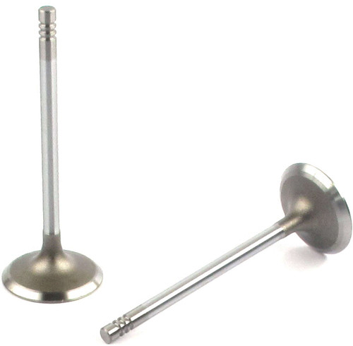 Engine Intake Valve | 66EI-5024B