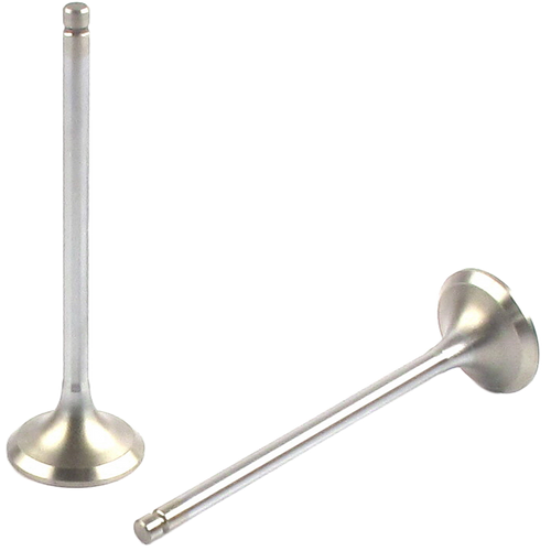 Engine Exhaust Valve (Qty 1) | 66EE-3449B