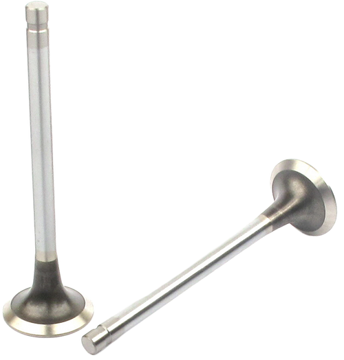 Engine Exhaust Valve (Qty 1) | 66EE-2001B
