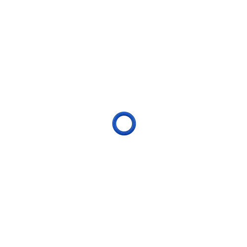 Turbocharger Coolant Line O-Ring | 55773156