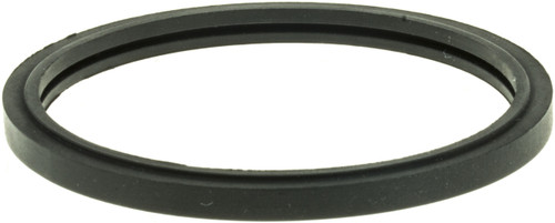 Engine Coolant Thermostat Seal | GAT33619