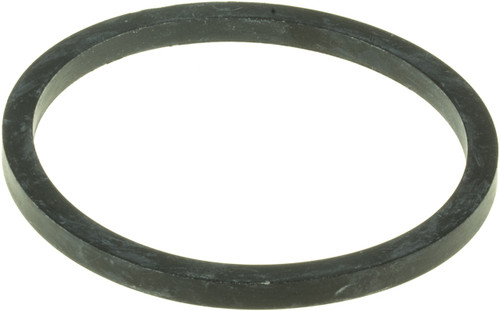 Engine Coolant Thermostat Seal | GAT33673