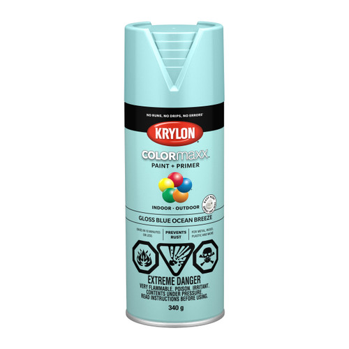 COLORmaxx Paint + Primer, Gloss, Ocean Breeze - 450g | DUP45506