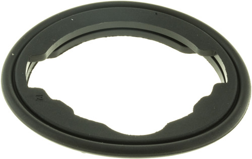 Engine Coolant Thermostat Seal | GAT33615