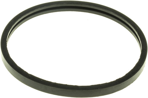 Engine Coolant Thermostat Seal | GAT33658