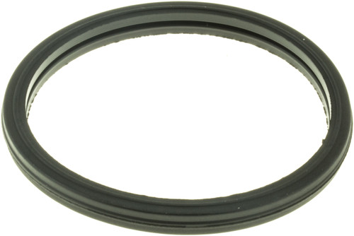 Engine Coolant Thermostat Seal | GAT33661