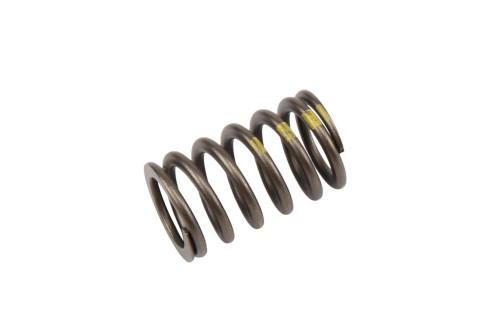 Engine Valve Spring | ACD90537032