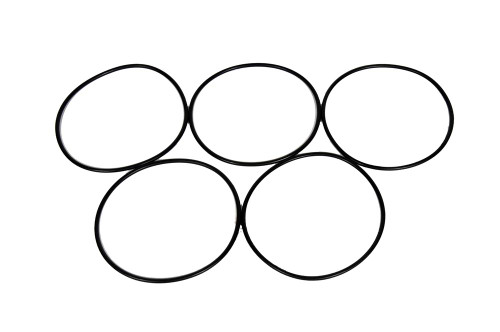 Seal | ACD251-2043