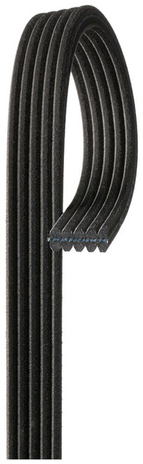Dual Sided V-Ribbed Serpentine Belt | ACD5DK610