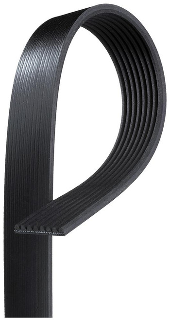 Standard V-Ribbed Serpentine Belt | ACD8K334