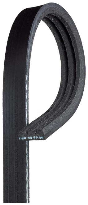 Standard V-Ribbed Serpentine Belt | ACD3K240