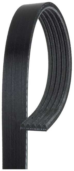 Standard V-Ribbed Serpentine Belt | ACD5K375
