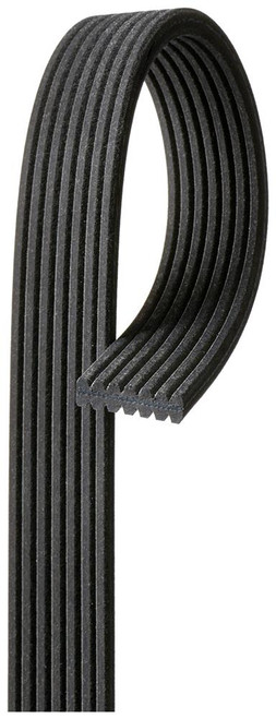 Dual Sided V-Ribbed Serpentine Belt | ACD7DK817