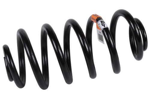 Rear Coil Spring | ACD22816872