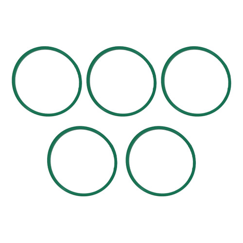 Fuel Injection Plenum Gasket Set | 557MS 97525