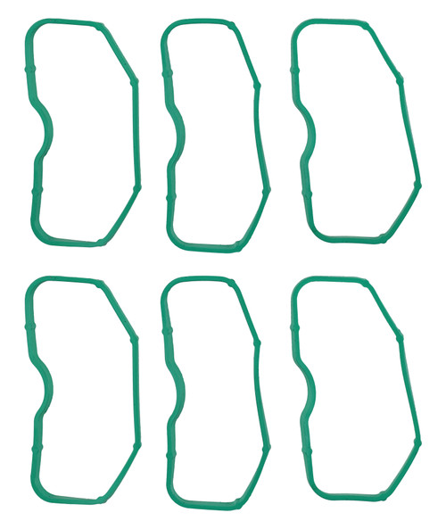 Engine Intake Manifold Gasket Set | 557MS 97524