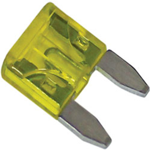 100 PCS 20A MIN Blade Fuse | 113120-C