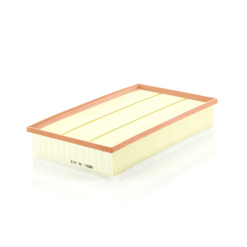 Air Filter Panel | MANC 38 003