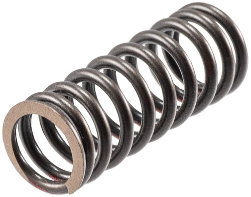 Stock Replacement Valve Spring | 978VS-1462