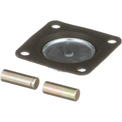 Carburetor Pump Plunger kit | BWD13125