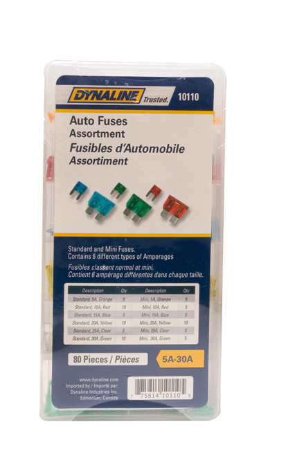 80PCS Auto Fuse, Multi-Size Assortment | DYN10110