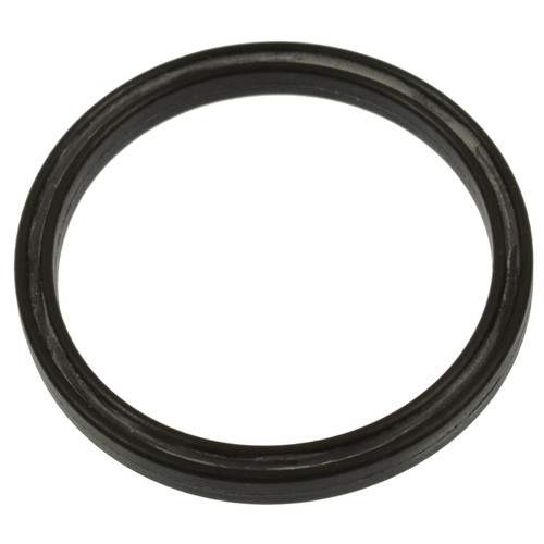 Fuel Vapor Canister Seal | BWDVCS100