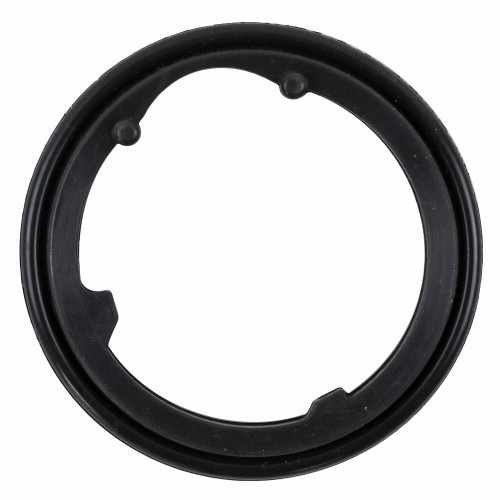 Engine Coolant Thermostat Gasket | 55736158