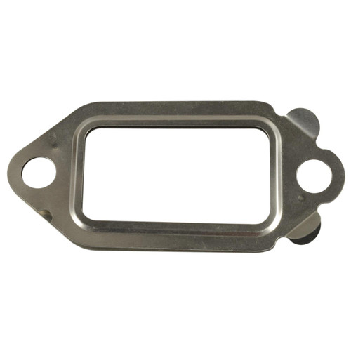 EGR Valve Mounting Gasket | BWDEVG241