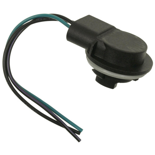 Multi Function Socket | BWDPT172