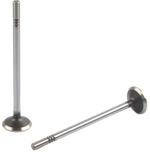Engine Exhaust Valve | 66EE-5285B