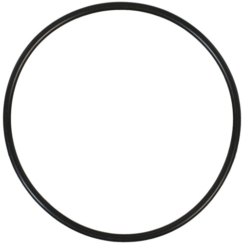 Multi-Purpose O-Ring | 557447 RR