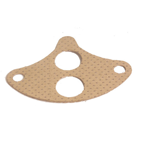 EGR Valve Mounting Gasket | BWDEVG109