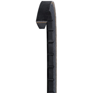 Gold Label, Industrial, Cogged, V-Belt, 80.00" Length | DAY3VX800GL