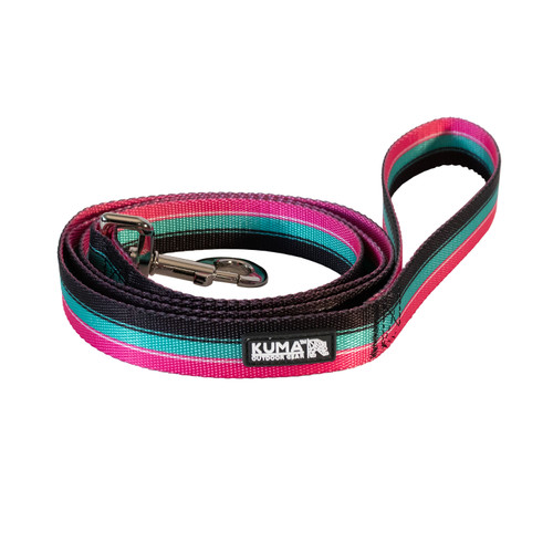 Backtrack Dog Leash - Vice - Black/Pink/Teal | 084866-KM-BTL-VC