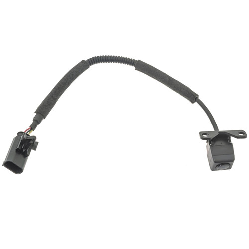 Park Assist Camera | BWDPAN448