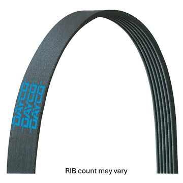 Poly Rib Belt | DAY5100510