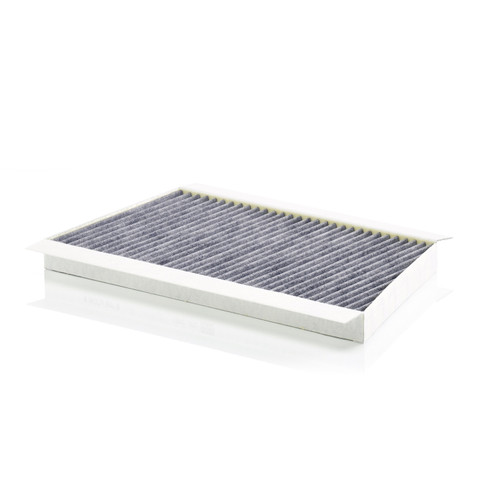 Cabin Air Panel | MANCUK 3461