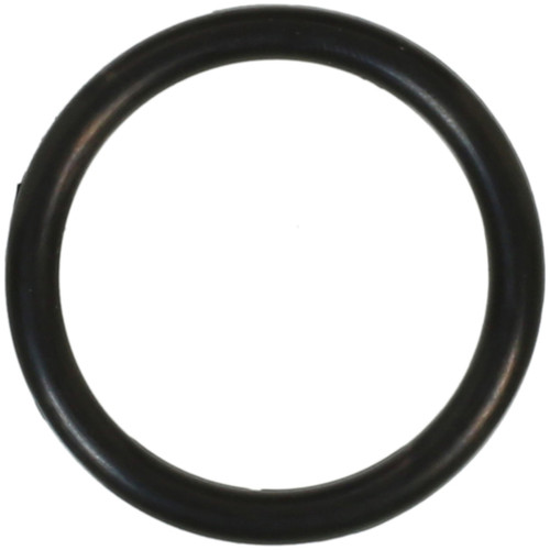 Multi-Purpose O-Ring | 557420
