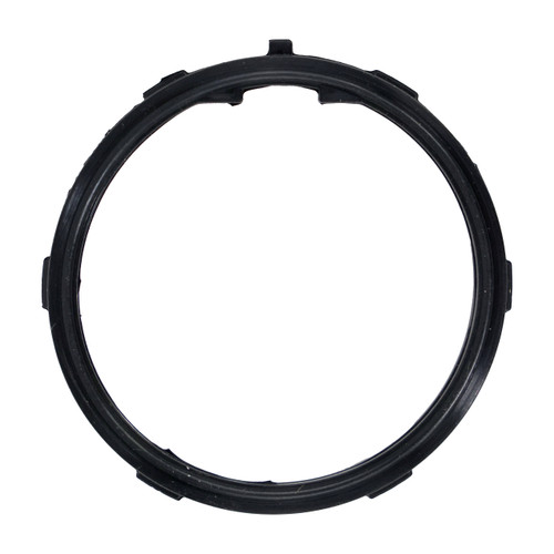Engine Coolant Thermostat Seal | 55736219