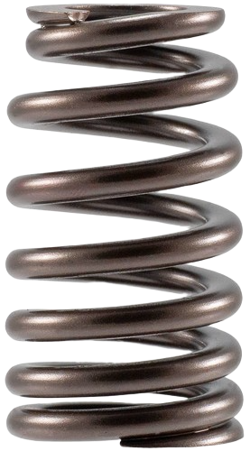 Engine Valve Spring | 66ERV3705S