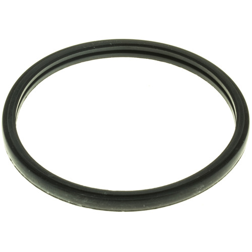 Engine Coolant Thermostat Seal | MRDMG81EA