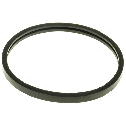 Engine Coolant Thermostat Seal | MRDMG24EA