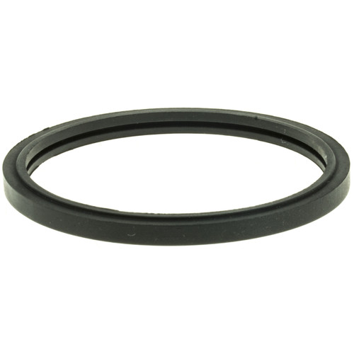 Engine Coolant Thermostat Seal | MRDMG91EA