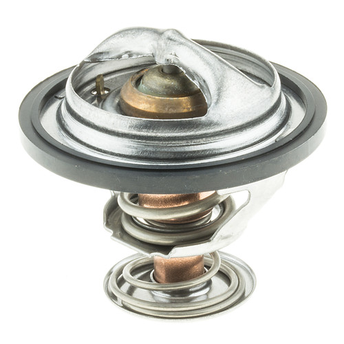 Thermostat-160 Degrees w/ Seal | MRD307-160