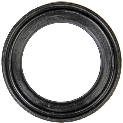 Fuel Pump Locking Ring | DOR579-043