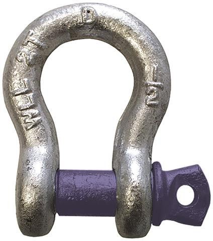 Anchor Shackle 1-3/8 | DYN66061