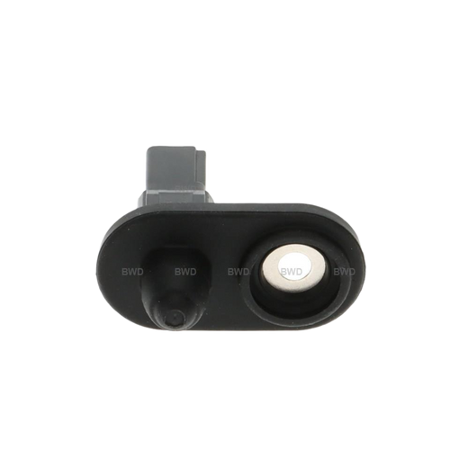 Door Ajar Switch | BWDDJS194