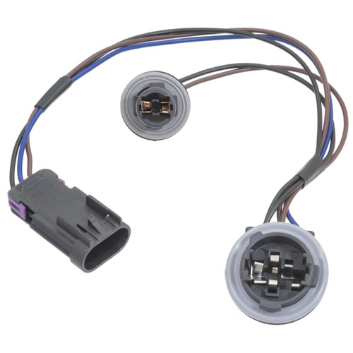 Multi Function Socket | BWDPT2615