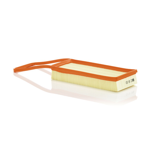 Air Filter Panel | MANC 49 001