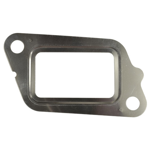 EGR Valve Mounting Gasket | BWDEVG242